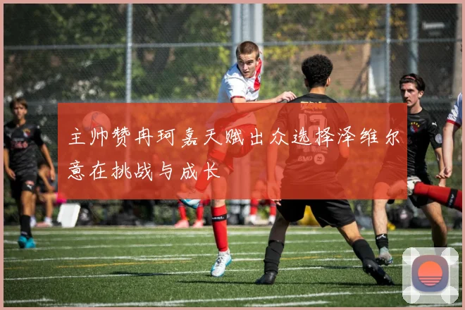 主帅赞冉珂嘉天赋出众选择泽维尔意在挑战与成长